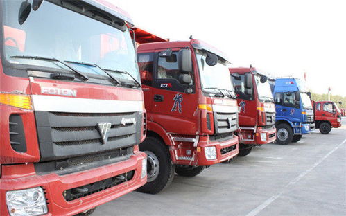 樂(lè)清柳市至奎屯市專業(yè)物流托運(yùn)專線服務(wù)詳解